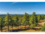 33250 Fox Trail - Photo 14