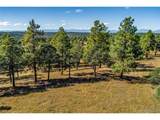 33250 Fox Trail - Photo 15