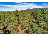33250 Fox Trail - Photo 17