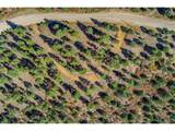 33250 Fox Trail - Photo 18