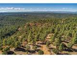 33250 Fox Trail - Photo 22
