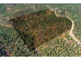 33250 Fox Trail - Photo 24