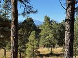 33250 Fox Trail - Photo 4