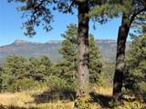 33250 Fox Trail - Photo 5