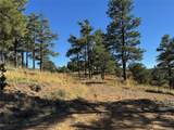 33250 Fox Trail - Photo 6