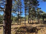 33250 Fox Trail - Photo 7