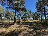 33250 Fox Trail - Photo 8