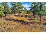 33250 Fox Trail - Photo 9