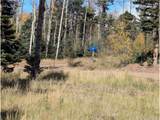 2448 Petito Dr - Photo 12