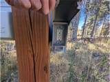 2448 Petito Dr - Photo 4