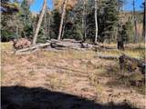 2448 Petito Dr - Photo 6