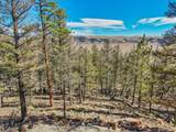 4538 Middle Fork Vis - Photo 12