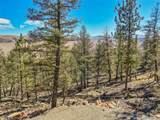 4538 Middle Fork Vis - Photo 13