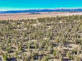 4538 Middle Fork Vis - Photo 8