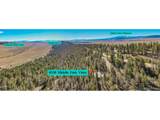 4538 Middle Fork Vis - Photo 9