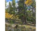 5347 Monitor Lode Claims - Photo 10