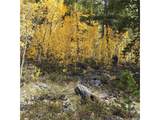 5347 Monitor Lode Claims - Photo 11