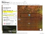 5347 Monitor Lode Claims - Photo 25