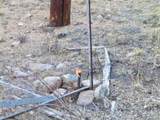 633 Valley Of The Sun Dr - Photo 14
