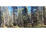 3023 Bolwell Ln - Photo 4