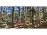 3023 Bolwell Ln - Photo 5