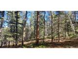 3023 Bolwell Ln - Photo 8