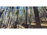 2682 Purnell Ln - Photo 4
