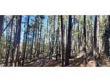 2682 Purnell Ln - Photo 6