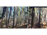 2682 Purnell Ln - Photo 8