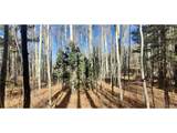 6060 Forbes Rd - Photo 1