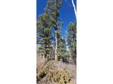6060 Forbes Rd - Photo 10