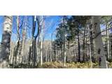 6060 Forbes Rd - Photo 12