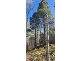 6060 Forbes Rd - Photo 14