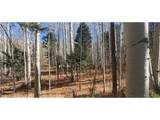 6060 Forbes Rd - Photo 2