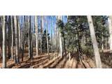 6060 Forbes Rd - Photo 4