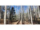 6060 Forbes Rd - Photo 5