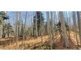 6060 Forbes Rd - Photo 6