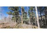 6060 Forbes Rd - Photo 9