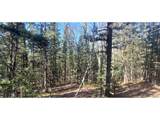 6581 Ackerman Rd - Photo 10