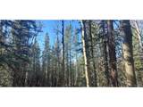 6581 Ackerman Rd - Photo 6
