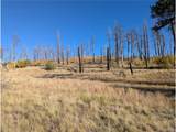 1207 Emery Loop - Photo 13