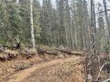  Ryland Rd - Photo 10
