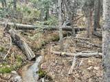  Ryland Rd - Photo 11