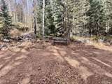  Ryland Rd - Photo 14