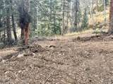  Ryland Rd - Photo 4