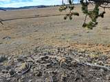 1282 Ute Trce - Photo 16