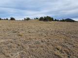 1282 Ute Trce - Photo 17