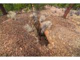 881 Vista De Aspen Rd - Photo 13
