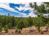 881 Vista De Aspen Rd - Photo 17