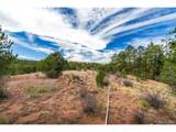 881 Vista De Aspen Rd - Photo 21